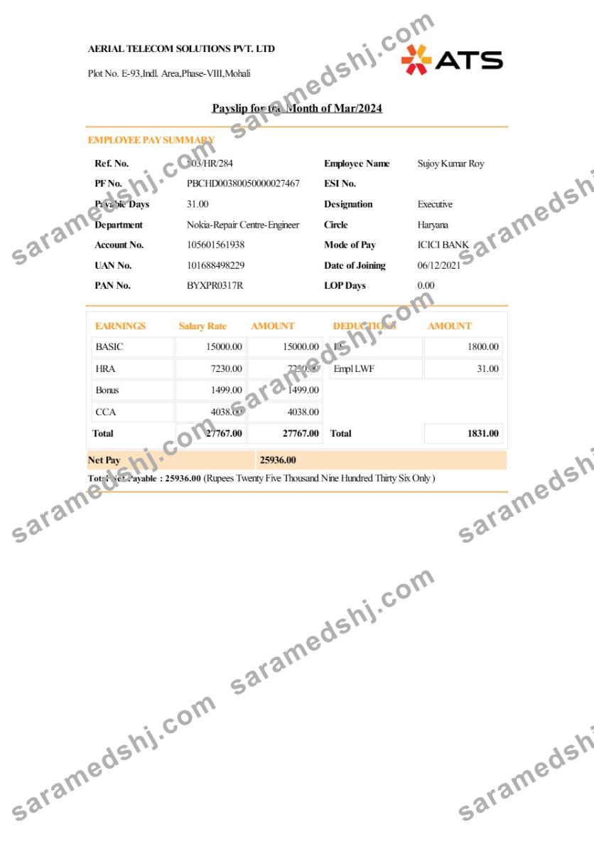 Aerial Telecom Solutions payslip template in Word and PDF formats.pdf, 1